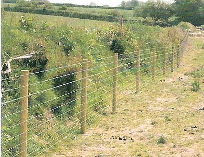 Agricultural Fence