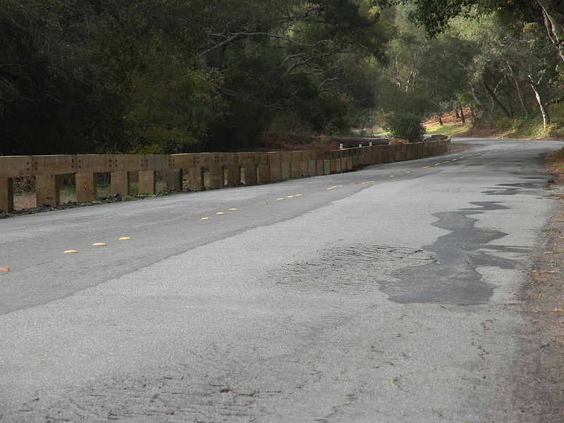 Steel Backed Timber Guardrail